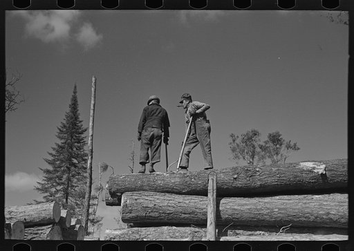 Lumberjacks on carload of timber, near Effie, Minnesota