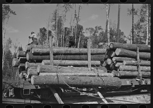 Logs on skidway just before being loaded on railway car, near Effie, Minnesota