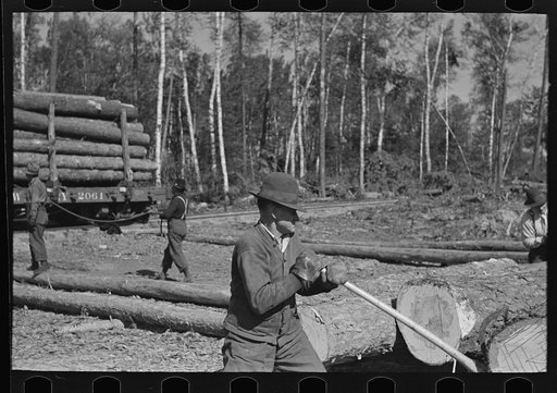 Untitled photo, possibly related to: Logs on skidway just before being loaded on railway car, near Effie, Minnesota