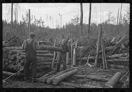 Piling logs in the woods, at camp near Effie, Minnesota