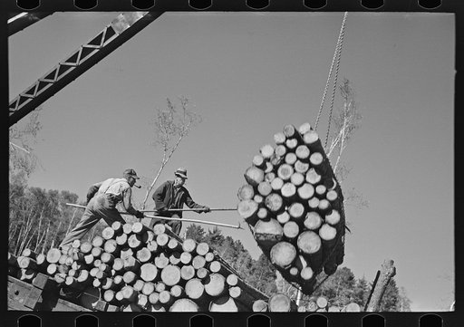 Loaders pushing logs into place while loading car, lumbercamp near Effie, Minnesota
