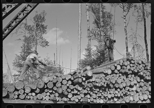Pushing pulpwood into position while loading car at camp near Effie, Minnesota