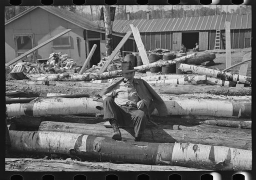 Lumberjack resting on pile of logs, near Effie, Minnesota