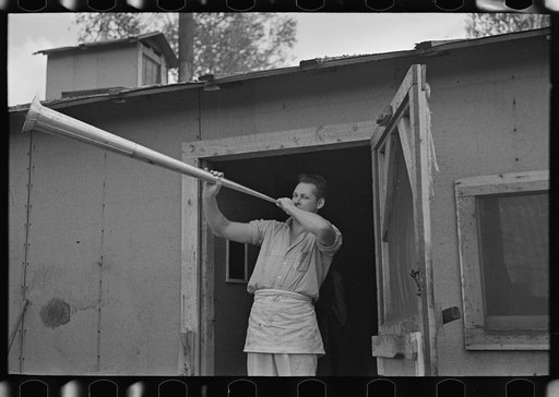 Camp cook blowing dinner horn, at camp near Effie, Minnesota