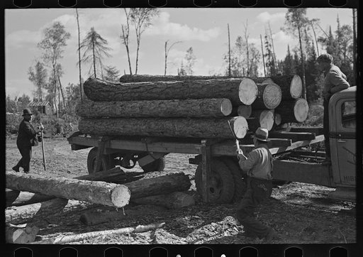 Unloading timber from truck at camp, near Effie, Minnesota