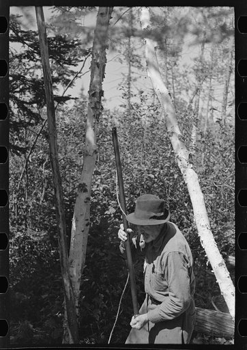 Untitled photo, possibly related to: William Besson shaking his iron drill to dislodge particles of structure from the bottom of it near Winton, Minnesota
