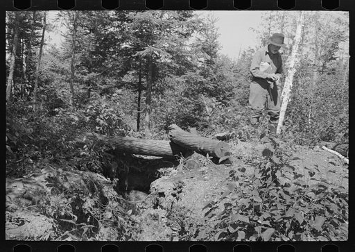 Untitled photo, possibly related to: William Besson and mine shaft abandoned by him near Winton, Minnesota