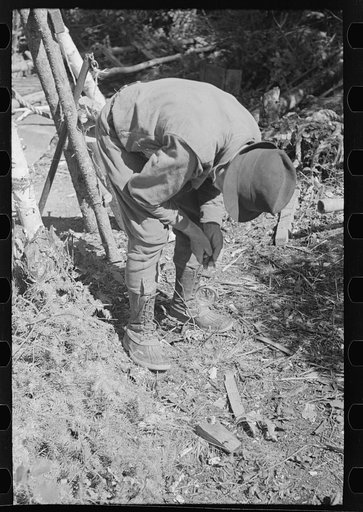 Untitled photo, possibly related to: William Besson with a dip needle, near Winton, Minnesota
