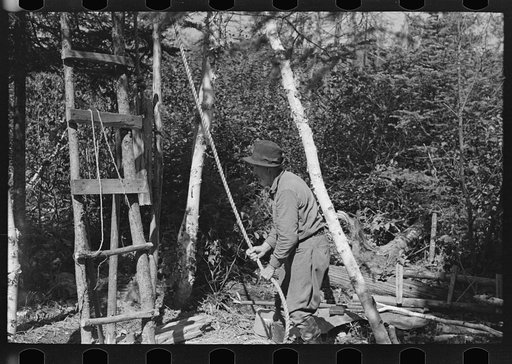 Untitled photo, possibly related to: William Besson in the process of "drilling" near Winton, Minnesota