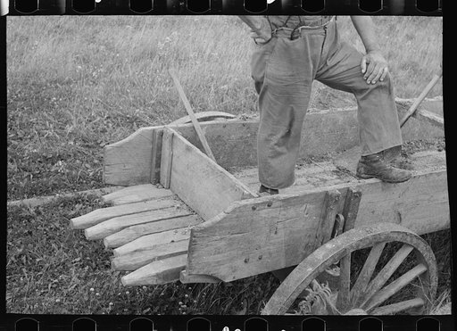 Detail of wagon on cut-over farm, near Gheen, Minnesota