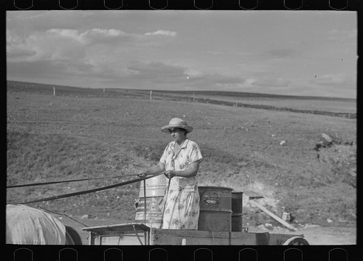 Untitled photo, possibly related to: Mrs. Olie Thompson driving wagon loaded with water barrels. North Dakota