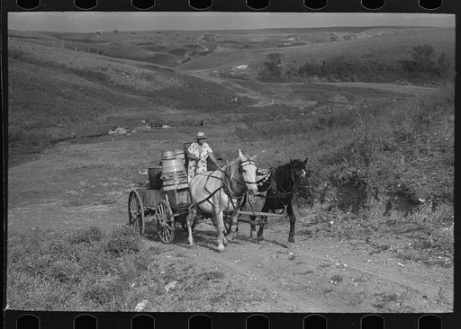 Mrs. Olie Thompson driving wagon loaded with water barrels. North Dakota