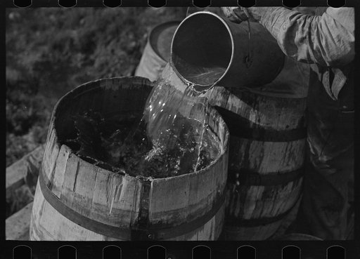 Filling barrels with spring water to be used on farm of Herman Gerling, Wheelock, North Dakota