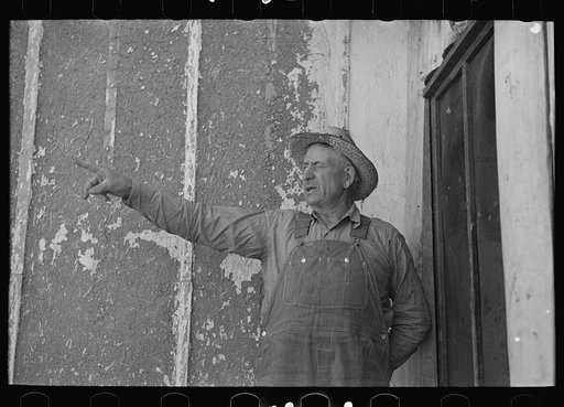 Mr. Tronson, farmer near Wheelock, North Dakota