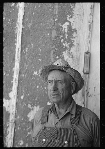 Mr. Tronson, farmer near Wheelock, North Dakota