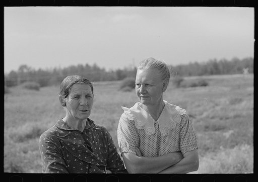 Women at auction sale of S.W. Sparlin, Orth, Minnesota