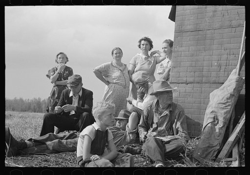 Untitled photo, possibly related to: Farmer at S.W. Sparlin's auction sale, Orth, Minnesota