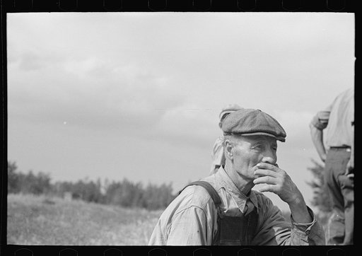 Farmer at S.W. Sparlin's auction sale, Orth, Minnesota