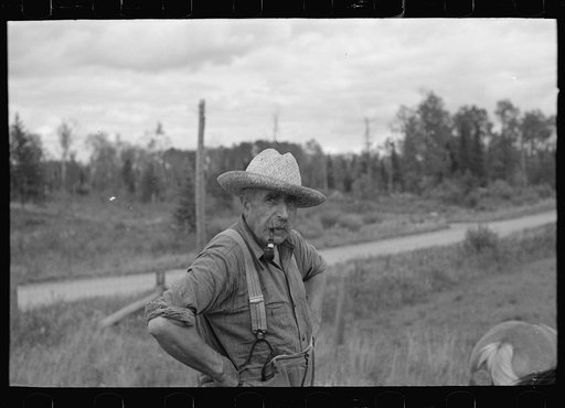 Bachelor cut-over farmer, near Gheen, Minnesota. Lived same place twenty-five years