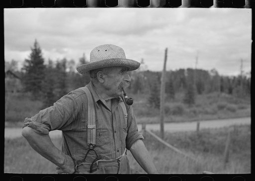 Untitled photo, possibly related to: Bachelor cut-over farmer, near Gheen, Minnesota. Lived same place twenty-five years