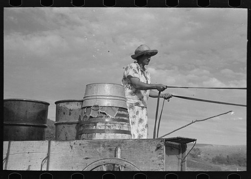 Mrs. Olie Thompson about to drive home from the spring with barrels full of water. Williams County, North Dakota