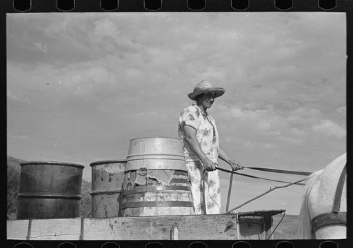 Untitled photo, possibly related to: Mrs. Olie Thompson about to drive home from the spring with barrels full of water. Williams County, North Dakota