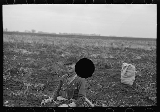 Untitled photo, possibly related to: Potato worker, near East Grand Forks, Minnesota