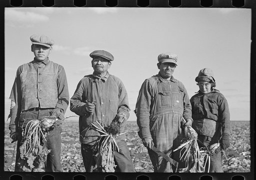 Mexican sugar beet worker's family near East Grand Forks, Minnesota