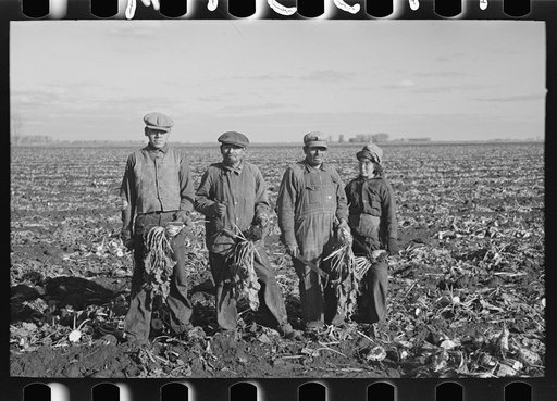Untitled photo, possibly related to: Mexican sugar beet worker's family near East Grand Forks, Minnesota