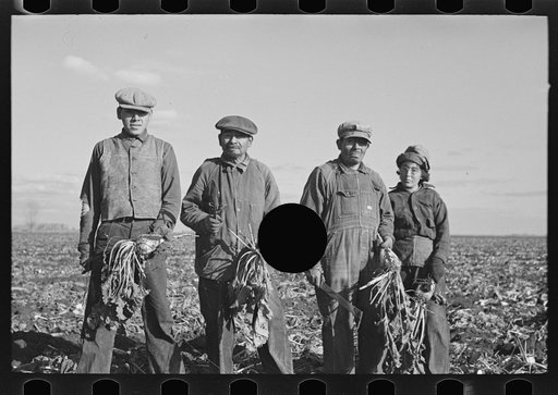 Untitled photo, possibly related to: Mexican sugar beet worker's family near East Grand Forks, Minnesota