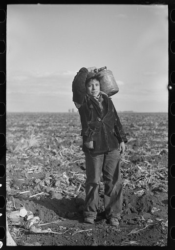 Mexican boy water carrier in beet field near East Grand Forks, Minnesota