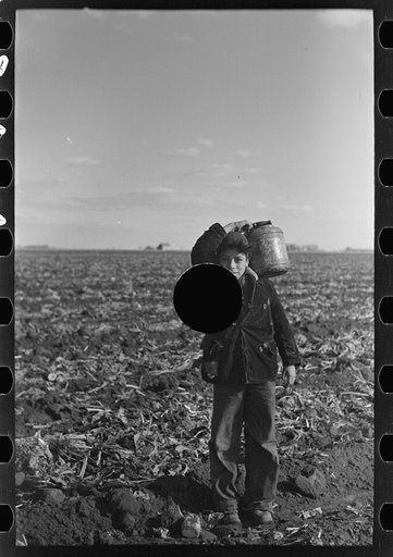 Untitled photo, possibly related to: Mexican boy water carrier in beet field near East Grand Forks, Minnesota
