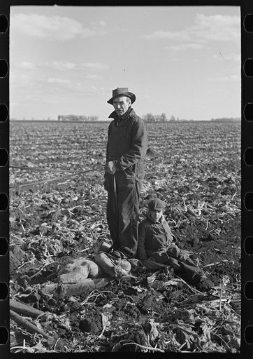 Beet worker and small child in field near East Grand Forks, Minnesota