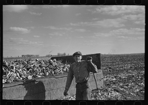 Beet worker, East Grand Forks, Minnesota