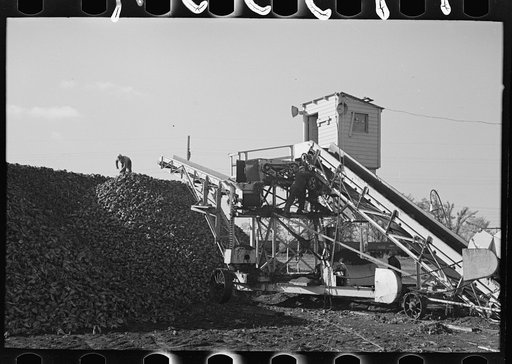 Beet unloading and piling machine, East Grand Forks, Minnesota