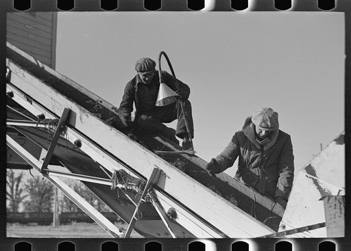 Workers removing refuse from sugar beets, East Grand Forks, Minnesota