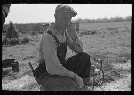 Cut-over farmer near Northome, Minnesota