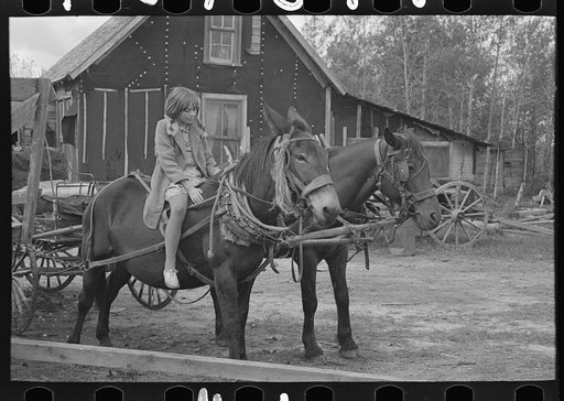 Girl astride mule, farm near Northome, Minnesota