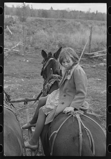 Untitled photo, possibly related to: Girl astride mule, farm near Northome, Minnesota