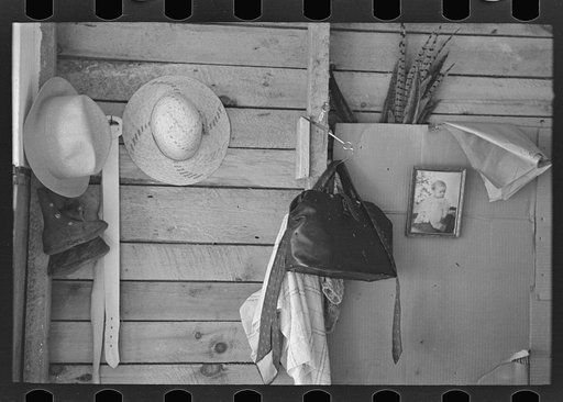 Part of room in cut-over farmhouse, near Northome, Minnesota