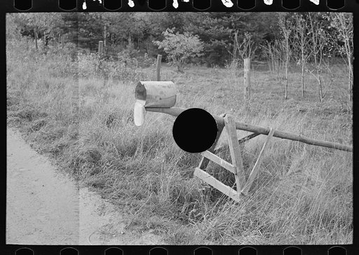 Untitled photo, possibly related to: Mail box of cut-over farm, near Northome, Minnesota