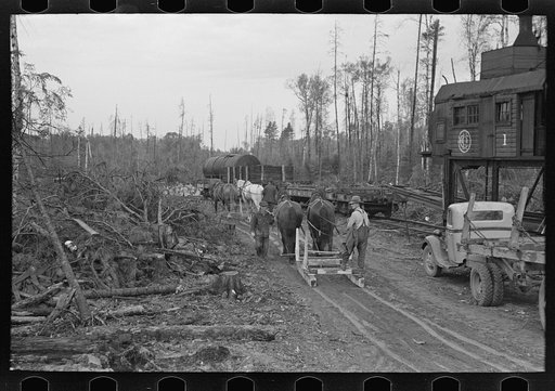 Going to work at lumbercamp near Effie, Minnesota