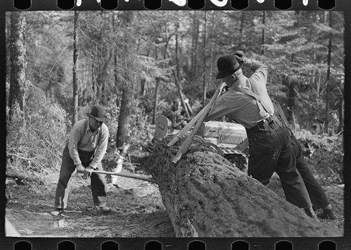 Using the peavy in handling timber, at camp near Effie, Minnesota