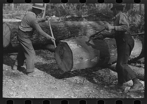 Using peaveys in handling timber at camp near Effie, Minnesota