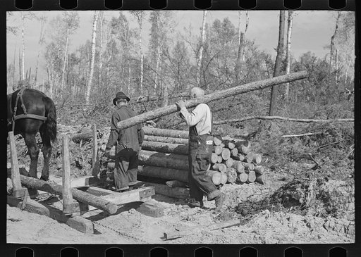 Lumberjack carrying a log at camp near Effie, Minnesota