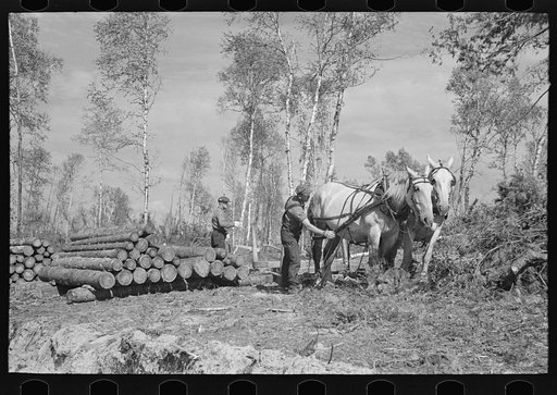 Piling pulpwood at camp near Effie, Minnesota
