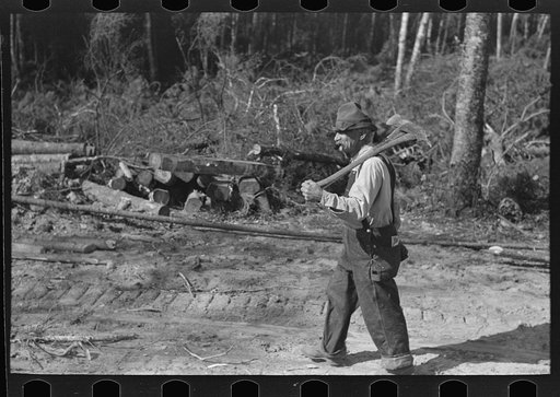 Old lumberjack at camp near Effie, Minnesota