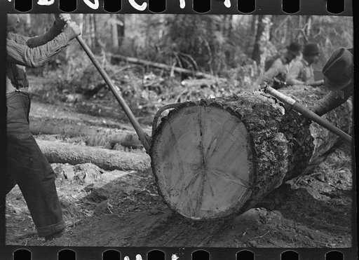 Use of peaveys in manipulating timber at camp near Effie, Minnesota