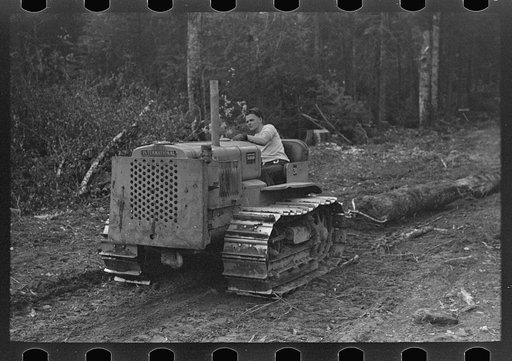 Caterpillar drawing logs through the woods at camp near Effie, Minnesota