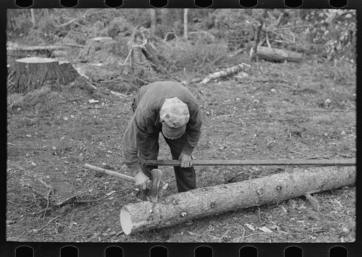 Untitled photo, possibly related to: Marking pulpwood for cutting into lengths at camp near Effie, Minnesota